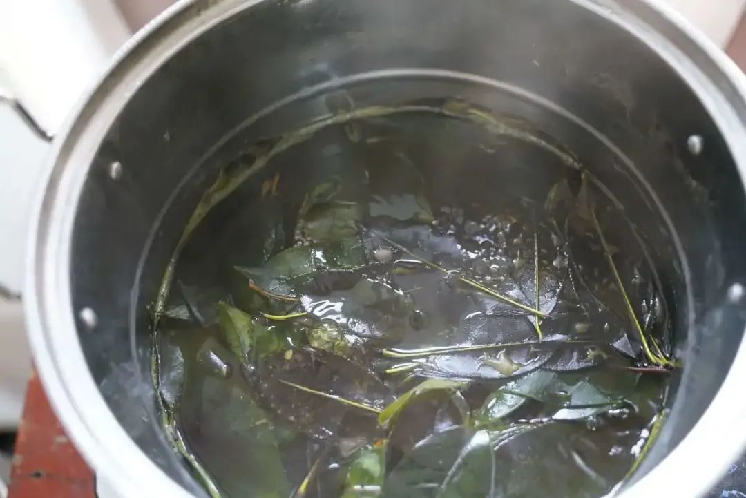 探秘自然，叶子的秘密，DIY叶脉书签——冬日里的自然课（理综组周末托管活动） - 绵阳育才学校【官网】